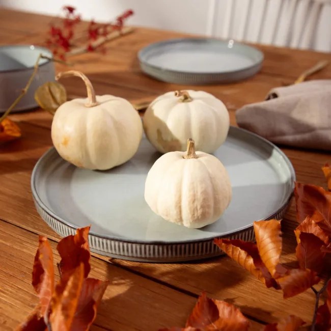 Tanier SANOS rebrovaný / sivý 707230