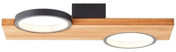 Brilliant - LED Stropné svietidlo CHEESY LED/14W/230V