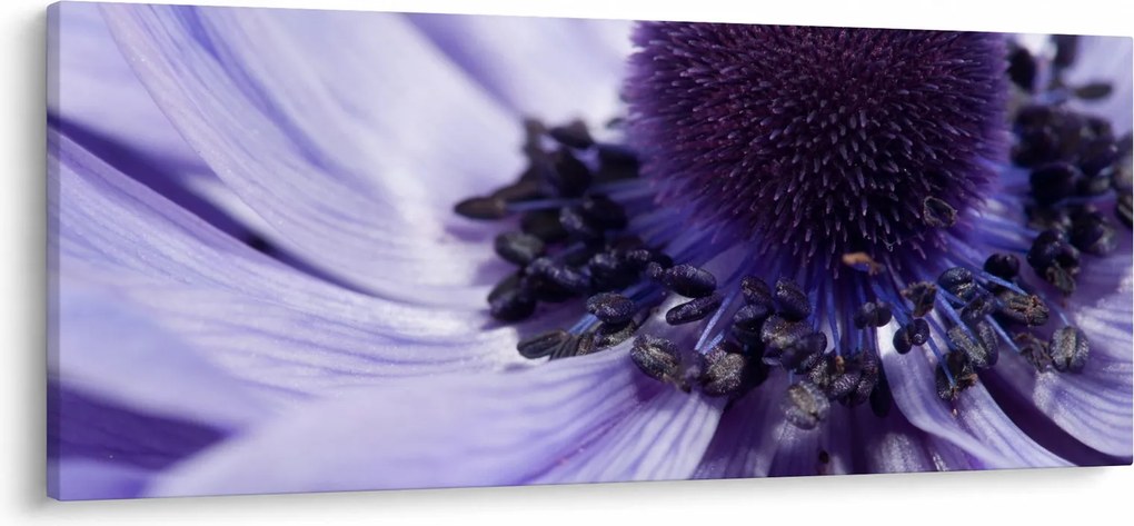 Obraz - Fialový kvet (120x50 cm)