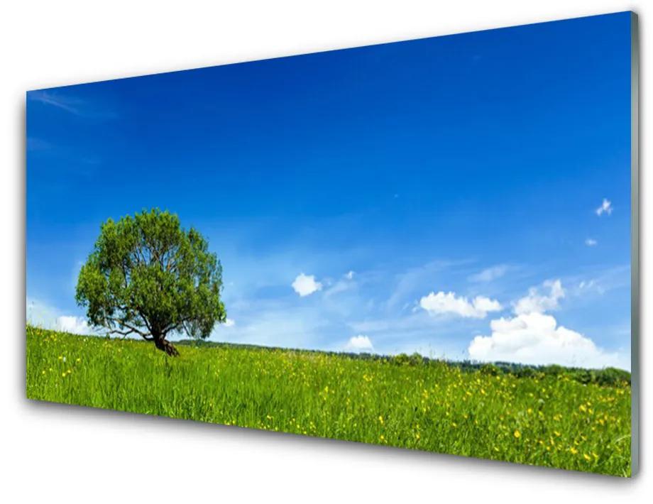 Obraz na akrylátovom skle Tráva strom príroda 100x50 cm