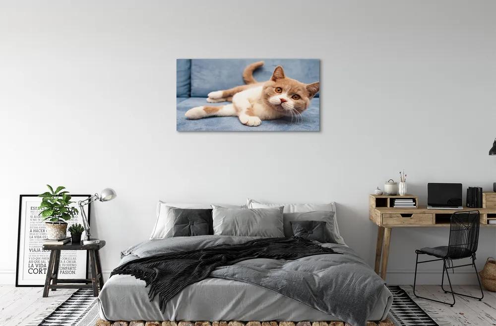 Obraz na plátne ležiace mačka 120x60 cm
