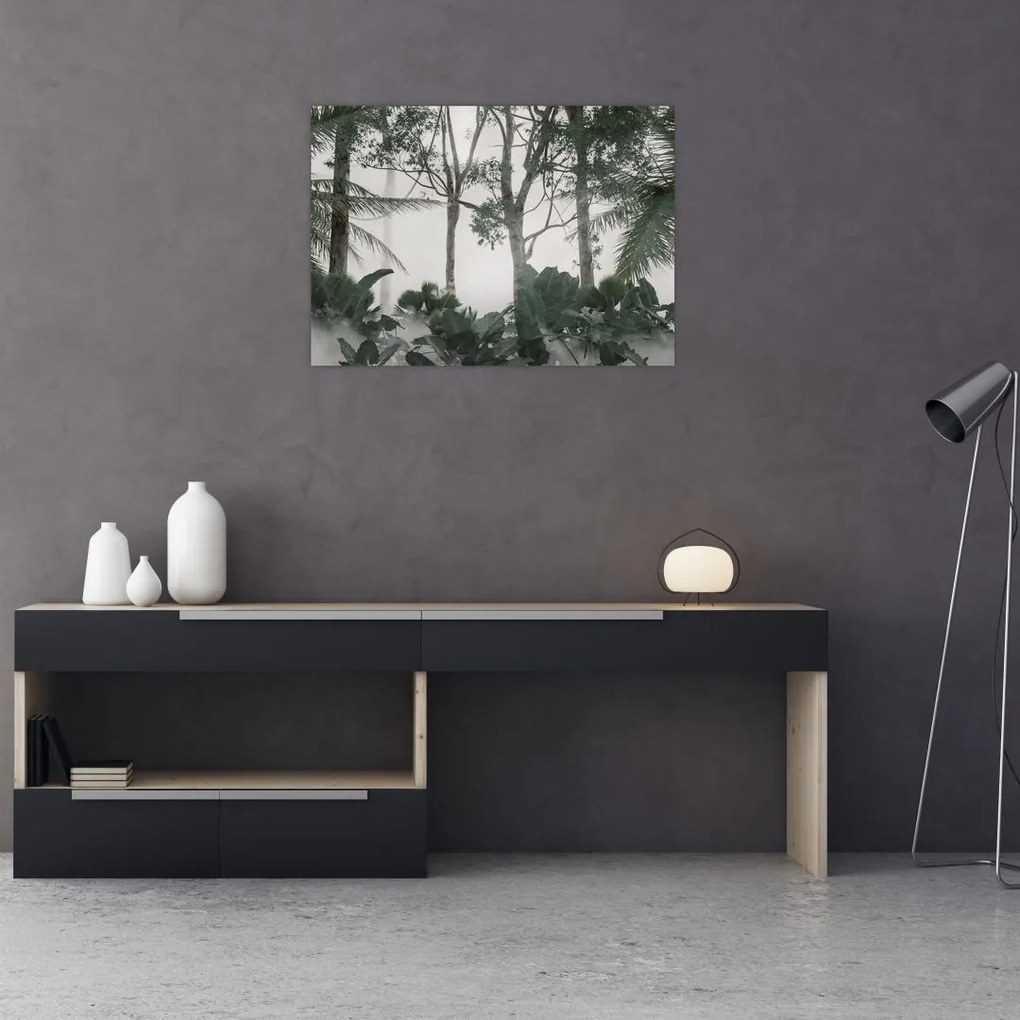 Sklenený obraz - Jungle v rannej hmle (70x50 cm)