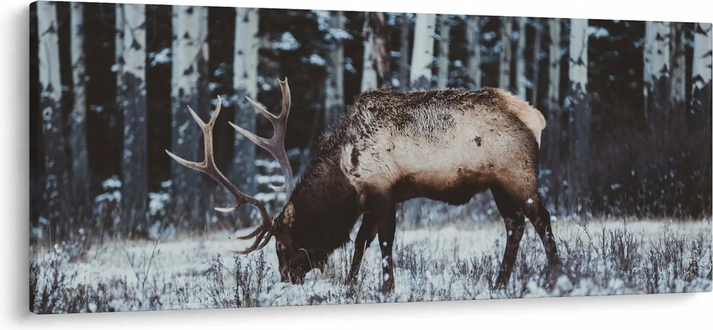 Obraz - jeleň v zime (120x50 cm)