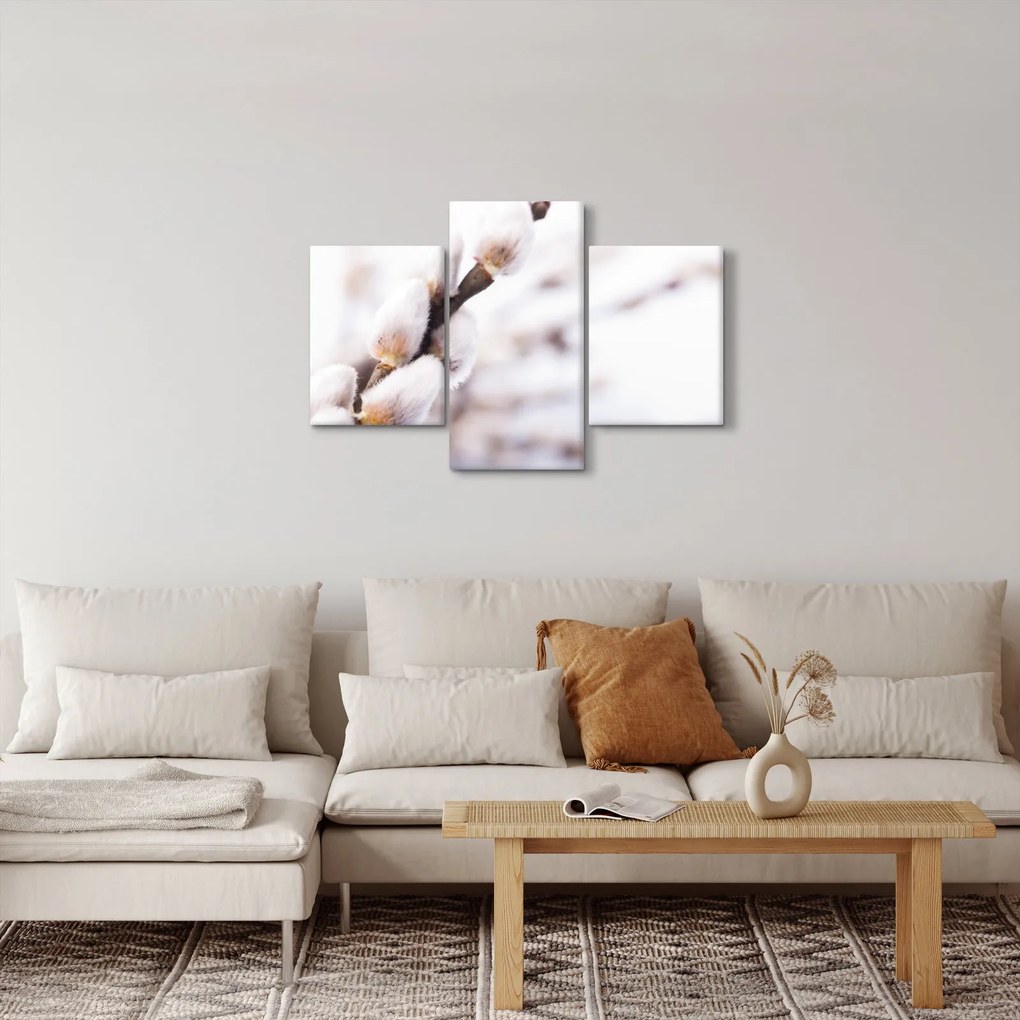 Obraz - Vetva mačičky (90x60 cm)