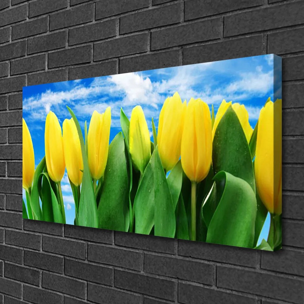 Obraz na plátne Tulipány kvety 120x60 cm