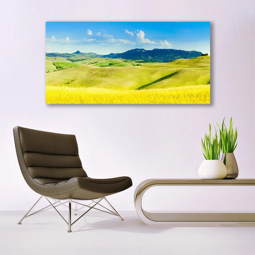 Obraz plexi Dedina hory príroda 120x60 cm