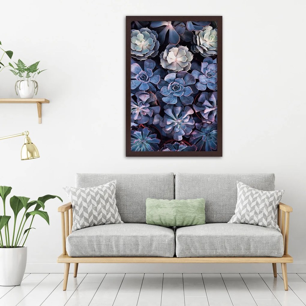 Gario Plagát Zbierka sukulentov Farba rámu: Bez rámu, Rozmery: 30 x 45 cm