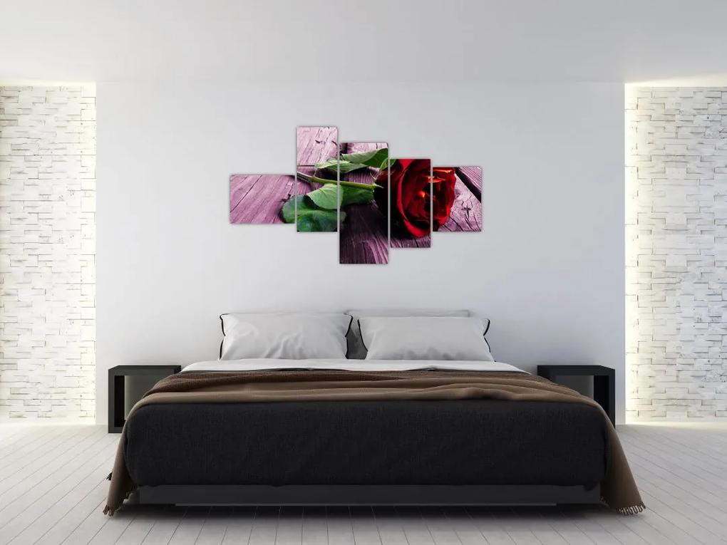 Ležiaci ruža - obraz
