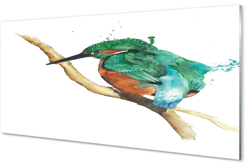 Sklenený obraz Farebné maľované papagáj 100x50 cm