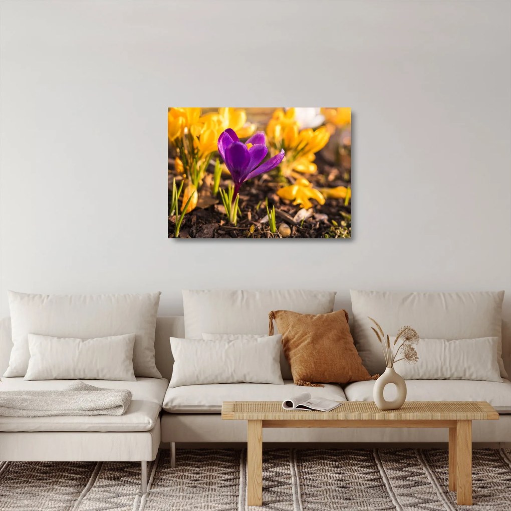 Sklenený obraz fialovej kvetiny (70x50 cm)