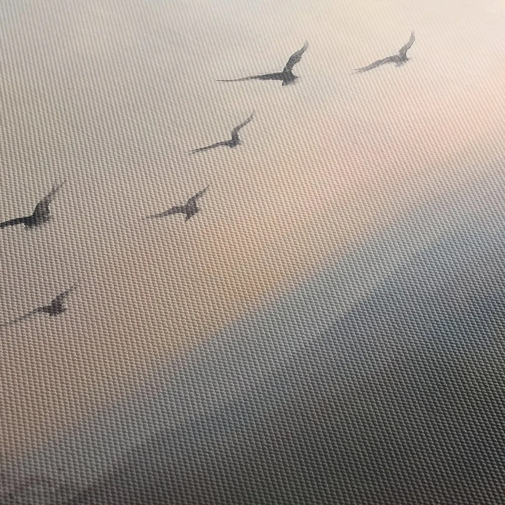 Obraz - Hejno vtákov (90x60 cm)