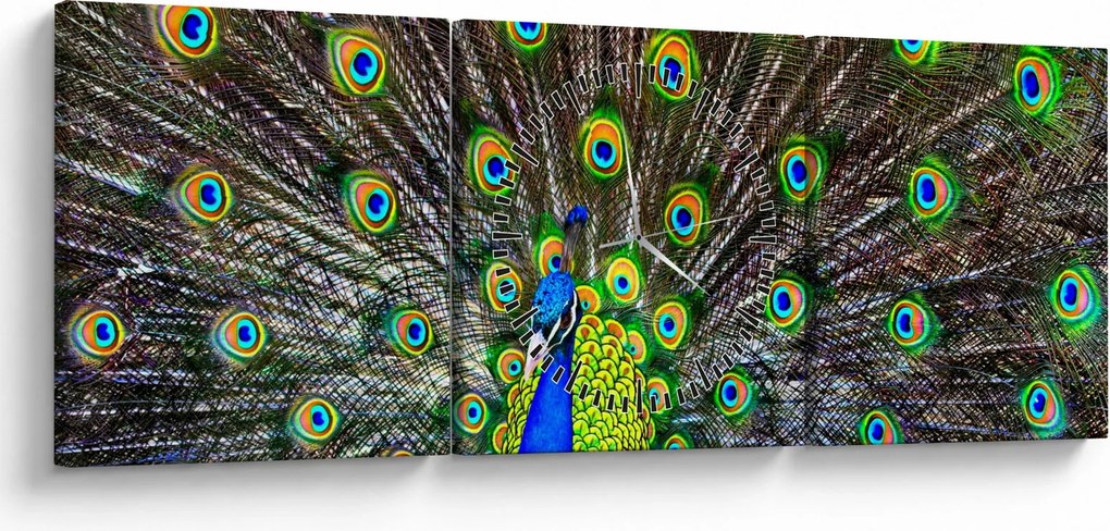 Obraz - Páv (s hodinami) (90x30 cm)