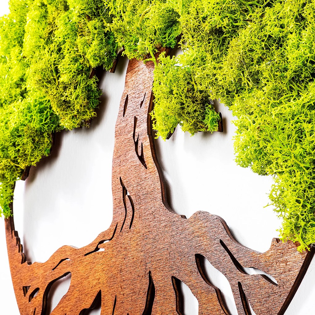 Tree Of Life 3