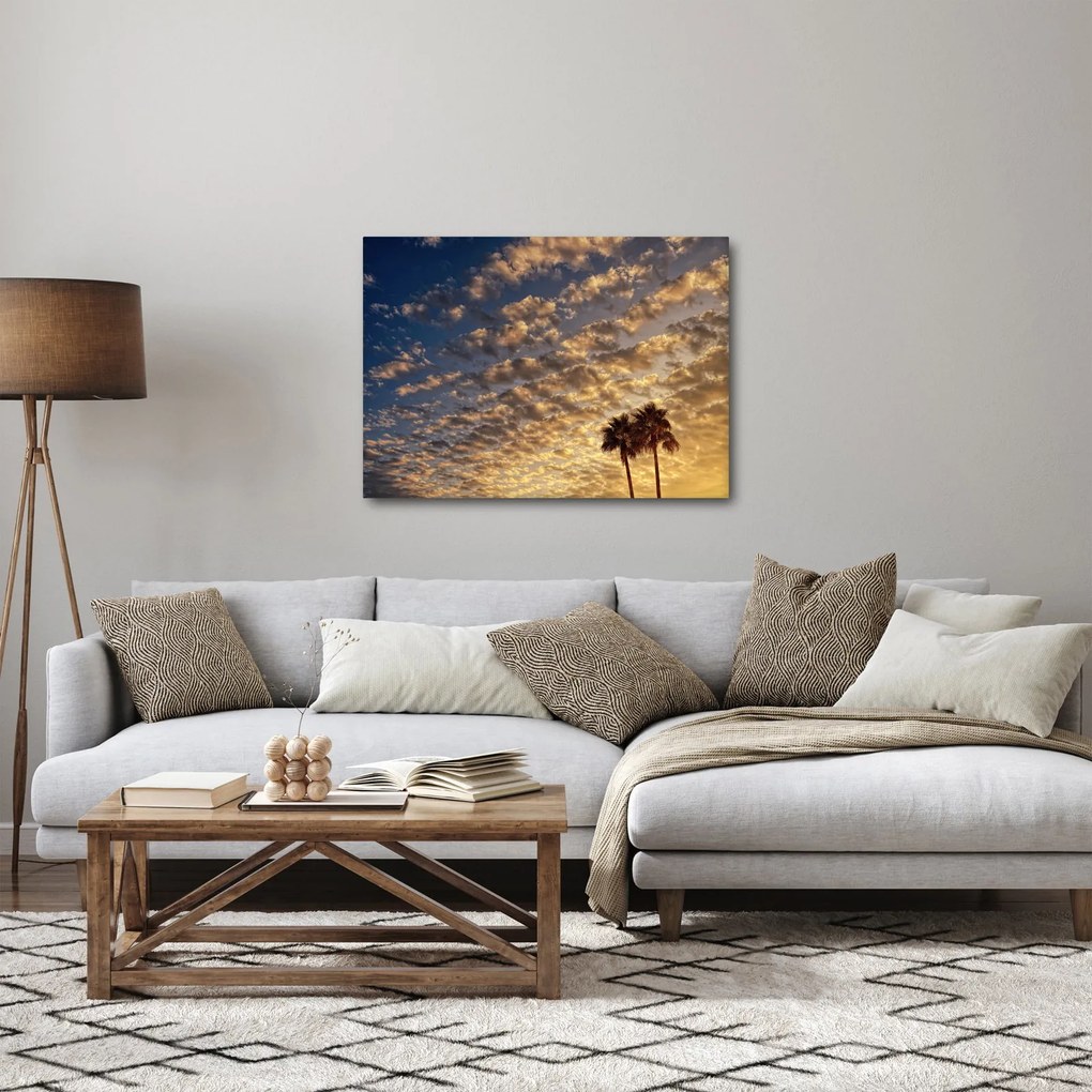 Obraz - Palmy medzi mrakmi (70x50 cm)