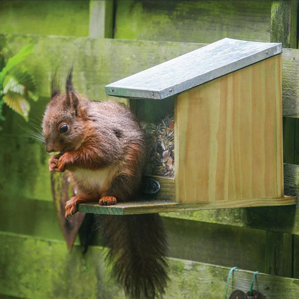 Kŕmidlo pre veveričky Ema, 19x12,5x25,5 cm, drevo/kov, hnedá