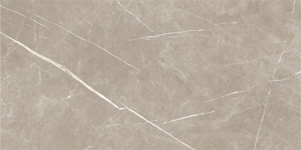 Dlažba Eternal Taupe Pulido 60x120 R