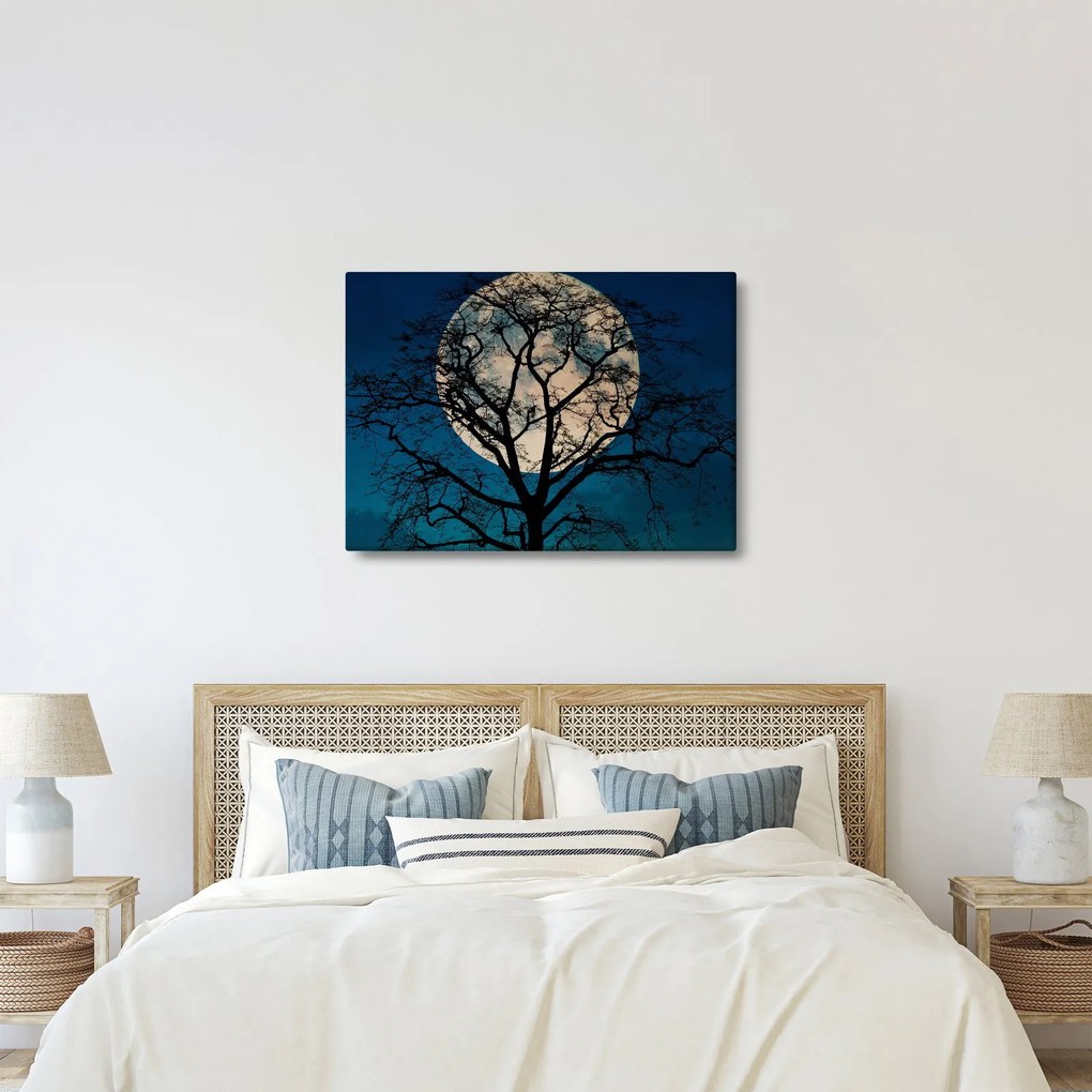 Obraz stromu so splnom (70x50 cm)