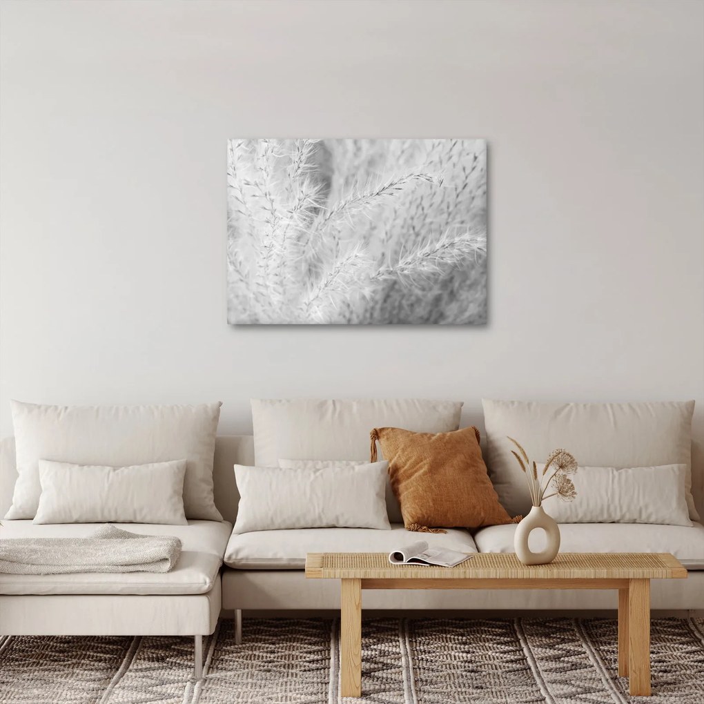 Obraz - Pampas grass N⁰1 (70x50 cm)