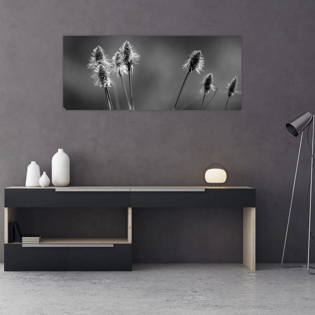 Obraz - Béžová soft grass N⁰2 (120x50 cm)