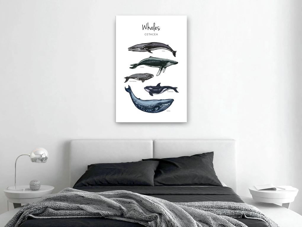 Artgeist Obraz - Whales (1 Part) Vertical Veľkosť: 20x30, Verzia: Premium Print