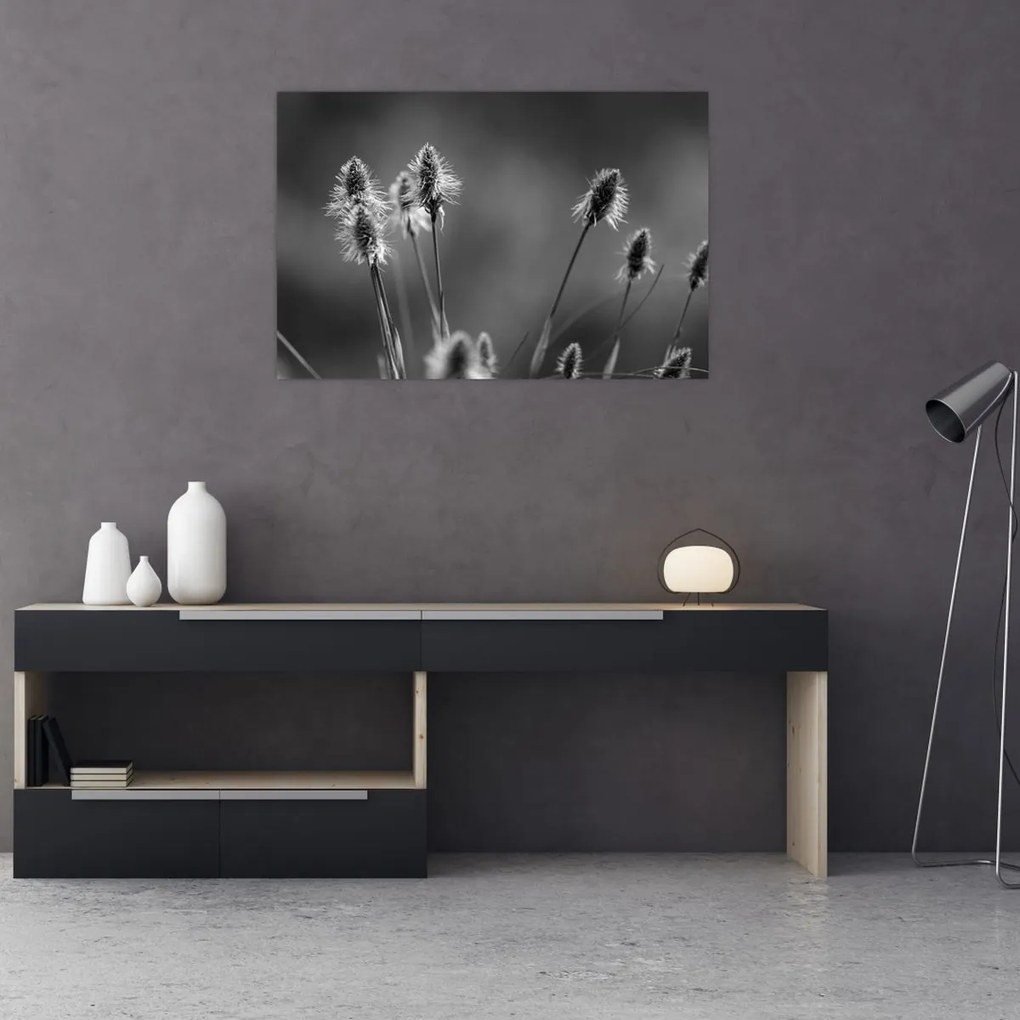 Obraz - Béžová soft grass N⁰2 (90x60 cm)