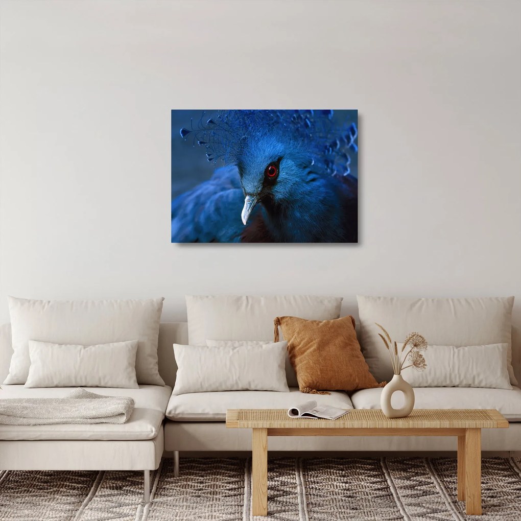 Sklenený obraz - Holub korunovaný (70x50 cm)