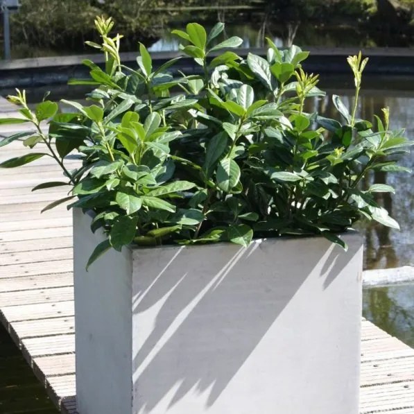 Kvetináč BLOCK, sklolaminát, 60x60x60 cm, betón design