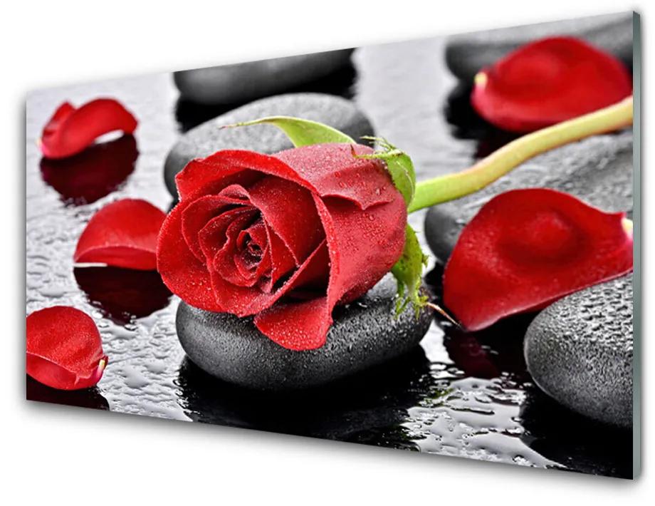 Skleneny obraz Ruže kvet kamene zen 140x70cm