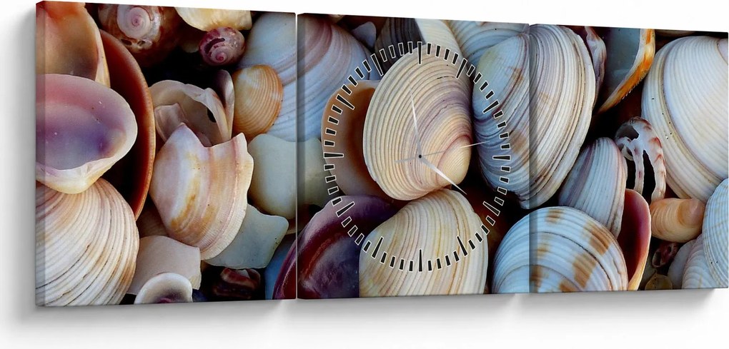 Obraz mušlí (s hodinami) (90x30 cm)