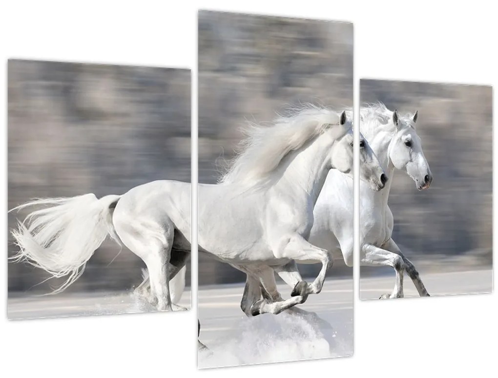 Obraz - Biele kone v zime (90x60 cm)