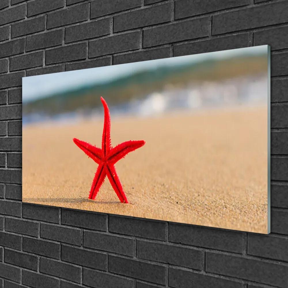 Obraz na skle Pláž hviezdice umenie 120x60 cm