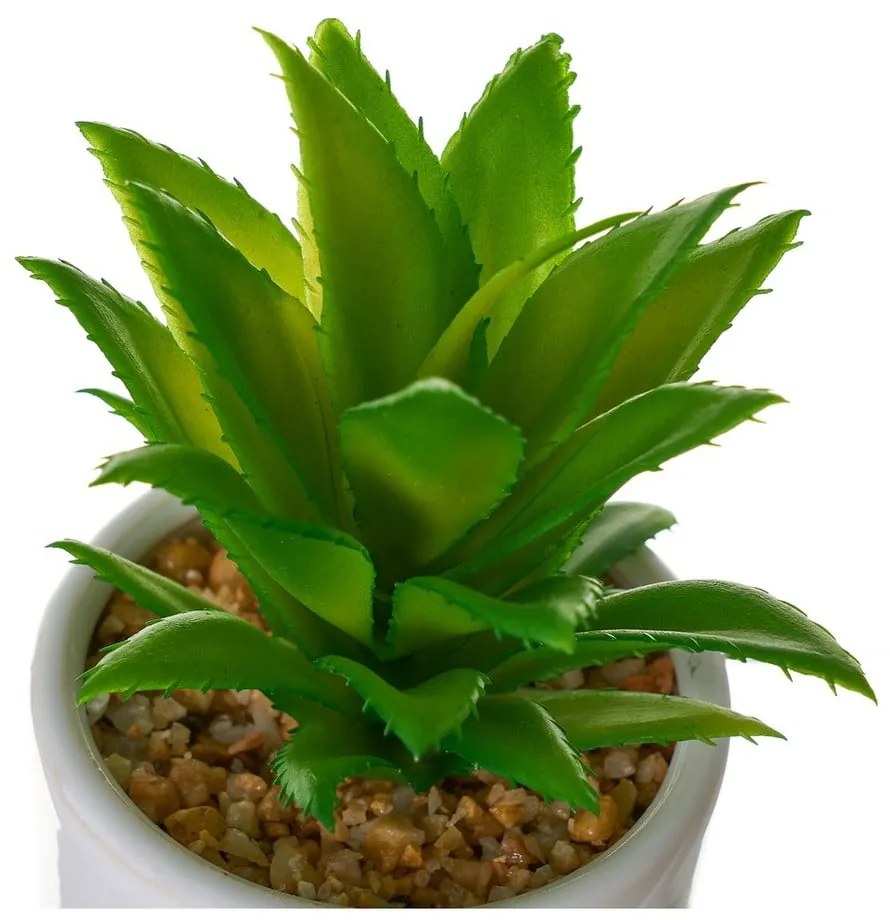 Umelé kvety v súprave 4 ks Cactus – Casa Selección