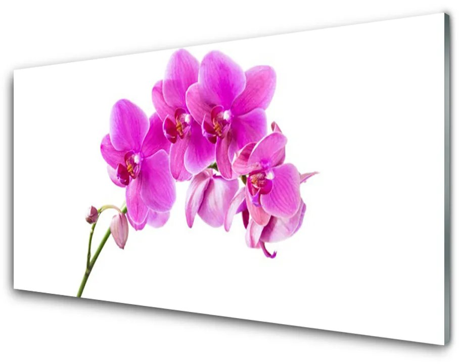 Sklenený obklad Do kuchyne Vstavač kvet orchidea 100x50 cm