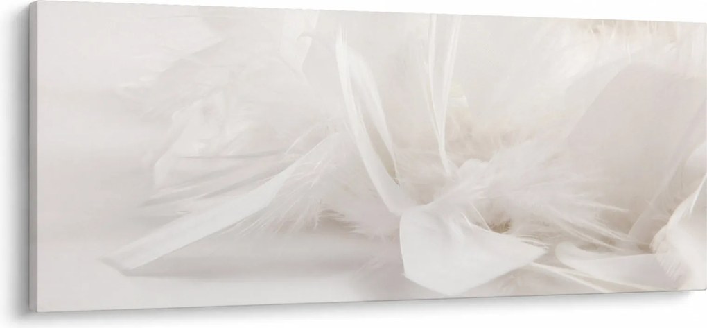 Obraz - Perie (120x50 cm)