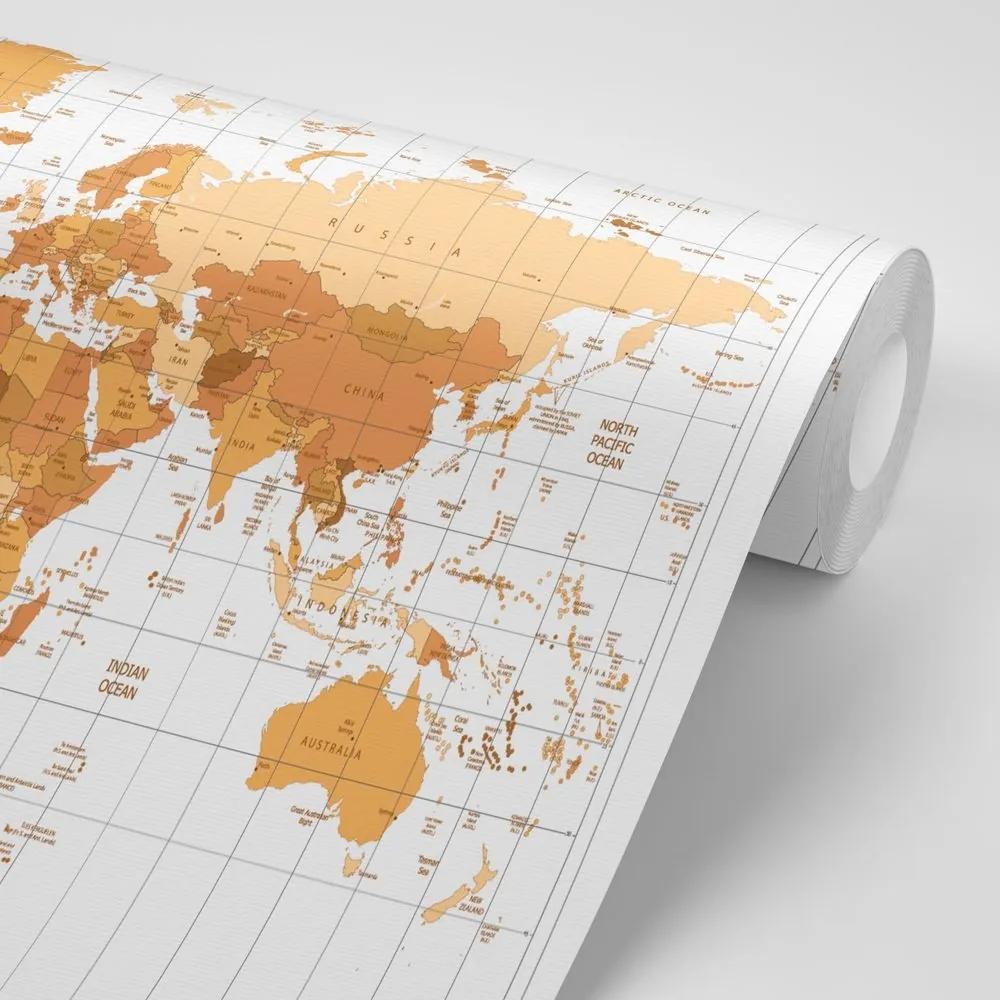 Tapeta béžová mapa sveta na svetlom pozadí - 150x100