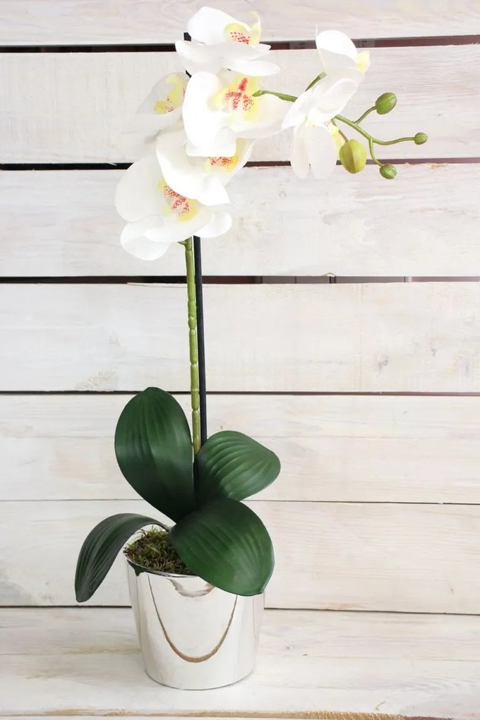 Umelá orchidea v striebornom črepníku - biela (v. 53 cm) - moderný štýl