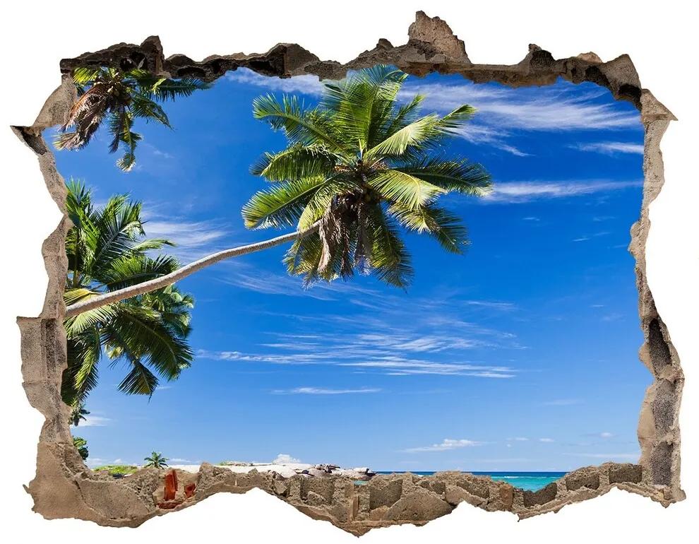 Díra 3D ve zdi nálepka Tropické pláže nd-k-32258072