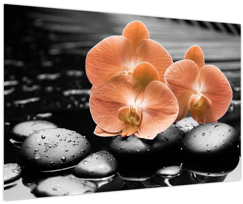 Obraz - Oranžové orchidey (90x60 cm)