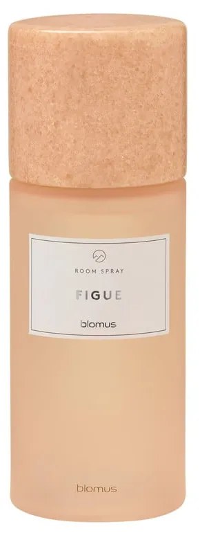 Interiérová vôňa 100 ml Frabli: Figue – Blomus