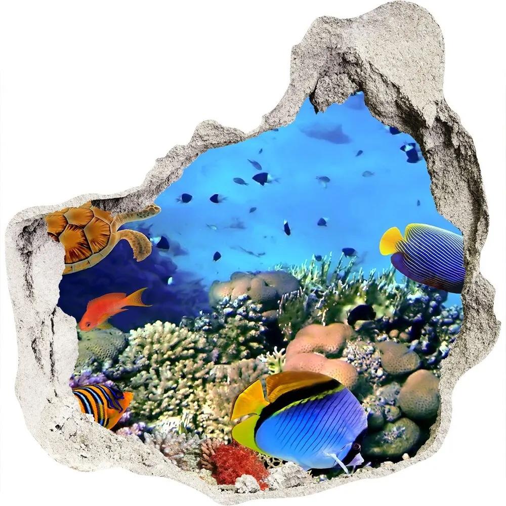 Fotoobraz diera na stenu nálepka Koralový útes nd-p-35544351