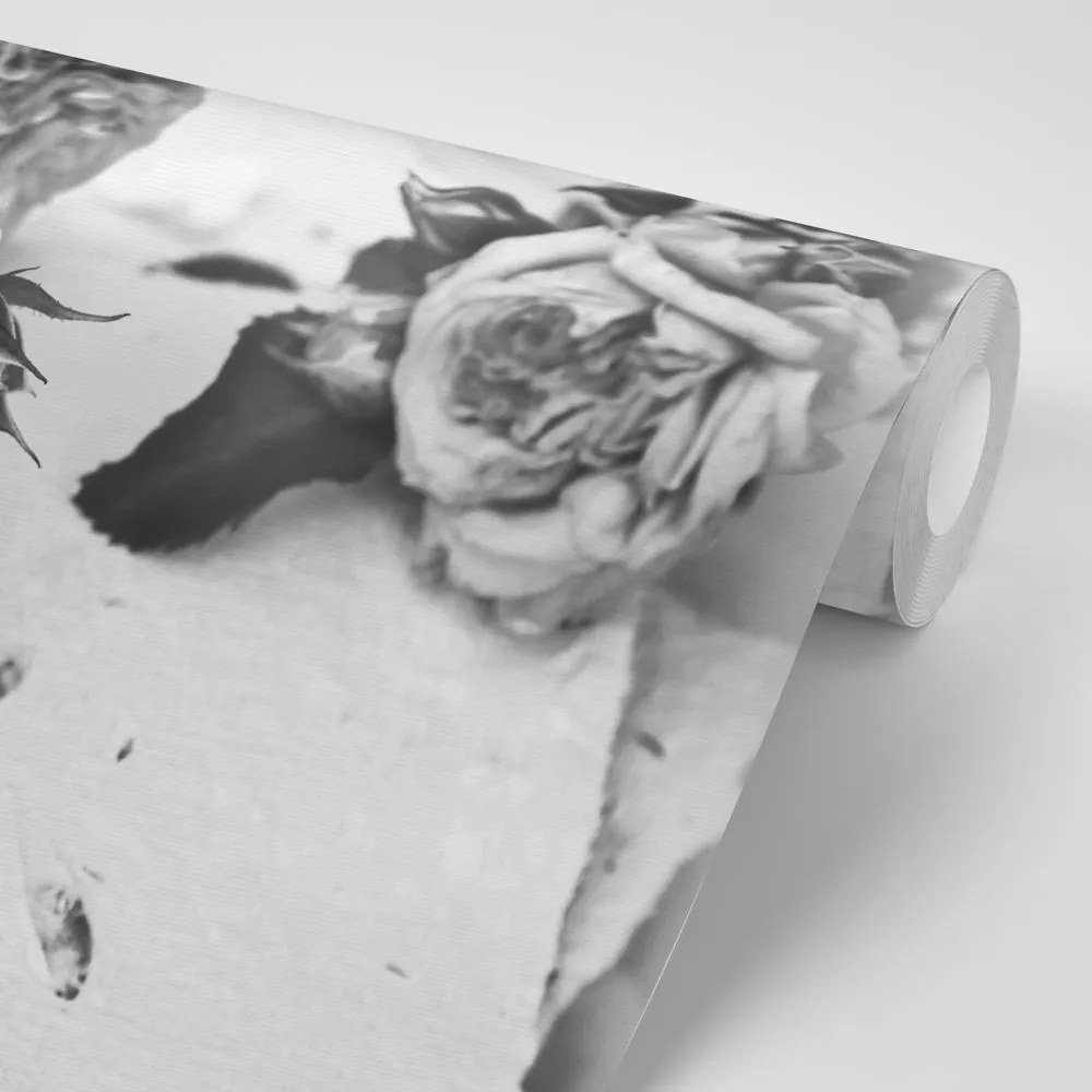 Samolepiaca fototapeta čiernobiele ruže v rozkvete - 150x100