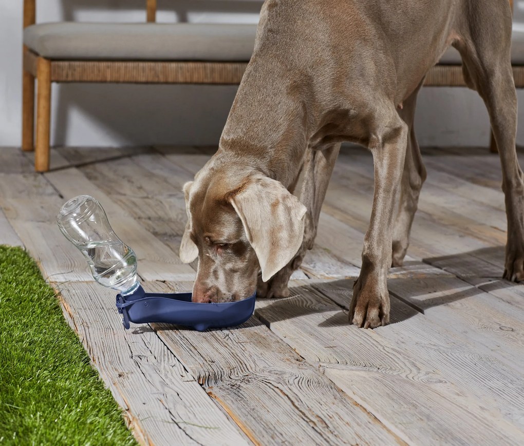 Fľaša na pitie pre psy so zabudovanou miskou