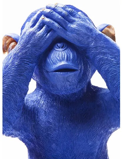 Monkey sporiteľnička modrá