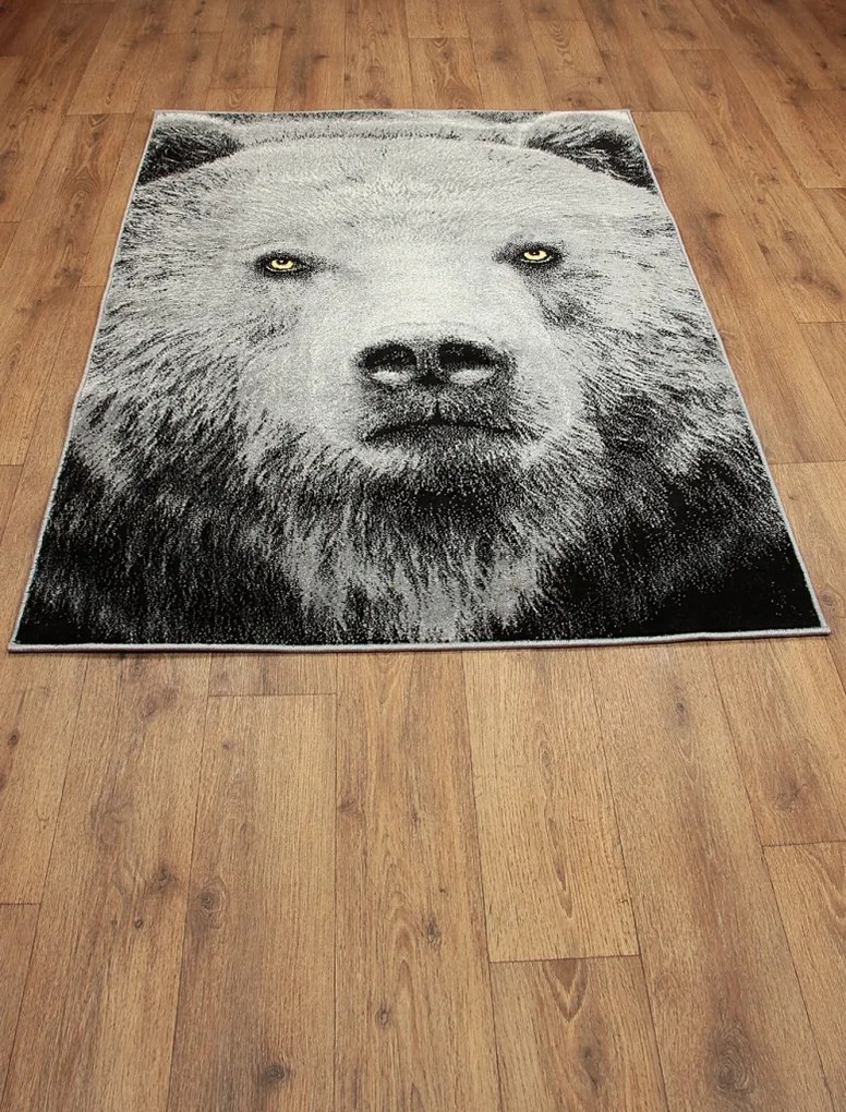 Koberec Kolibri 11365/190 rozmery koberec: 120x170 cm
