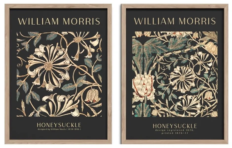 Obrazy v súprave 2 ks 30x40 cm Morris – Styler