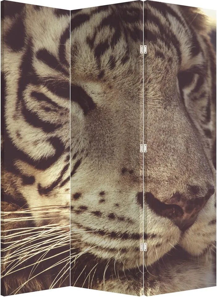 Paraván - Tiger (126x170 cm)