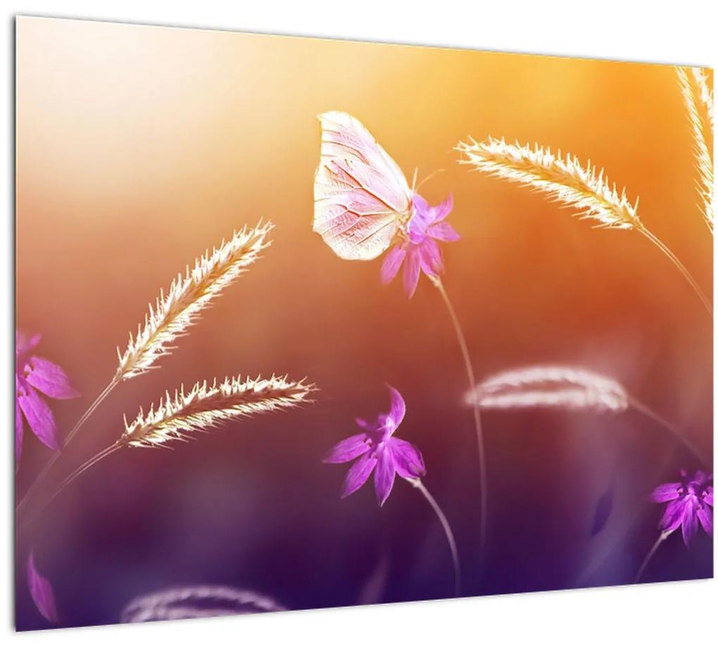 Obraz - Ružový motýľ (70x50 cm)