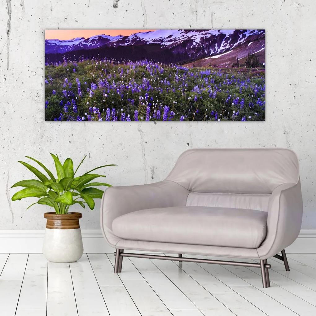 Obraz - Sopka a kvety (120x50 cm)