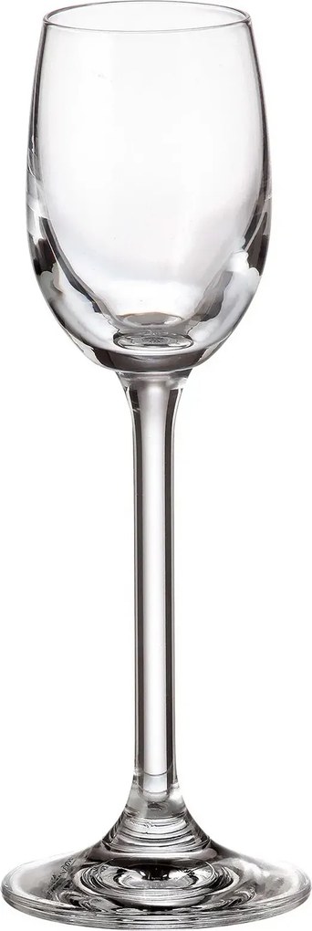 VÝPREDAJ Crystal Bohemia pohár Colibri 65 ml