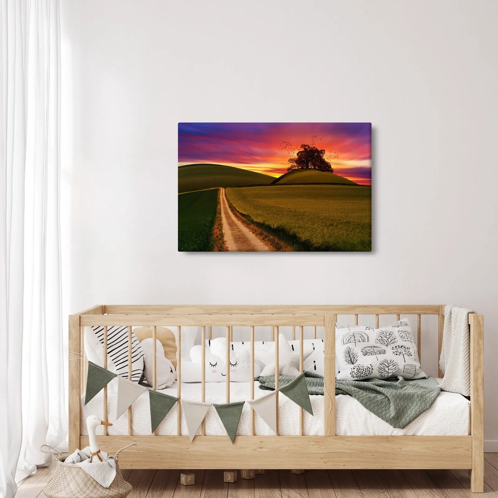 Obraz poľa pri západe slnka (90x60 cm)